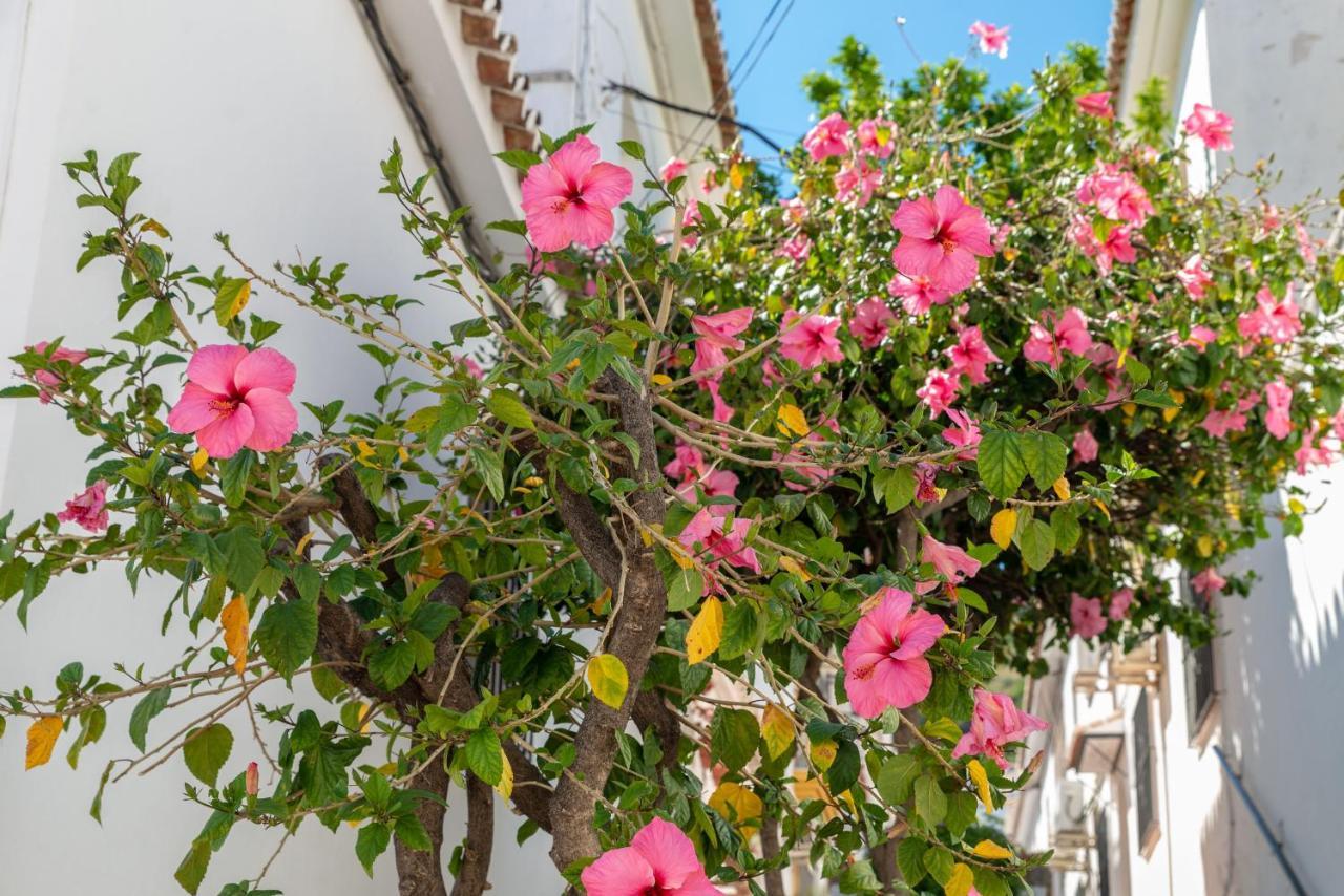 Lovely Cozy 2-Bedroom Residential Home With Patio Benalmadena Luaran gambar